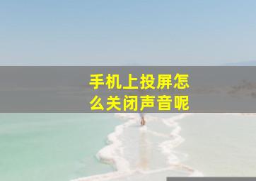 手机上投屏怎么关闭声音呢