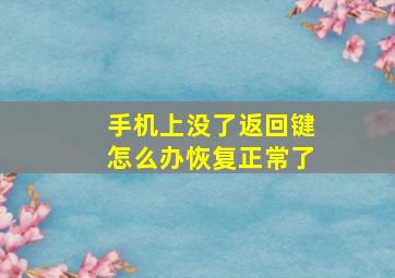 手机上没了返回键怎么办恢复正常了