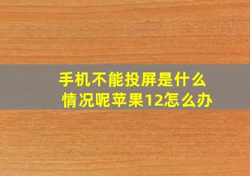 手机不能投屏是什么情况呢苹果12怎么办