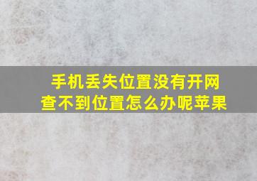 手机丢失位置没有开网查不到位置怎么办呢苹果