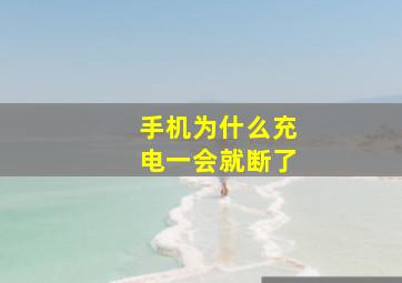 手机为什么充电一会就断了