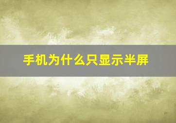 手机为什么只显示半屏