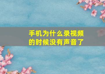 手机为什么录视频的时候没有声音了