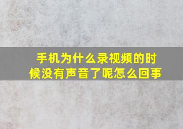 手机为什么录视频的时候没有声音了呢怎么回事