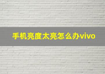 手机亮度太亮怎么办vivo