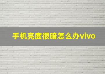 手机亮度很暗怎么办vivo