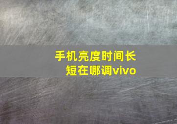 手机亮度时间长短在哪调vivo