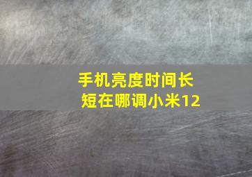 手机亮度时间长短在哪调小米12