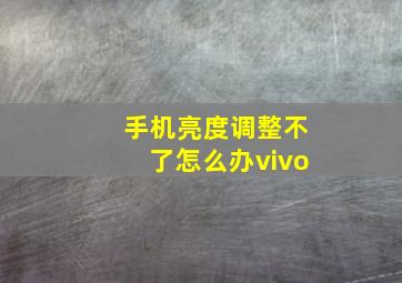 手机亮度调整不了怎么办vivo