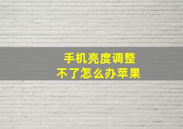 手机亮度调整不了怎么办苹果