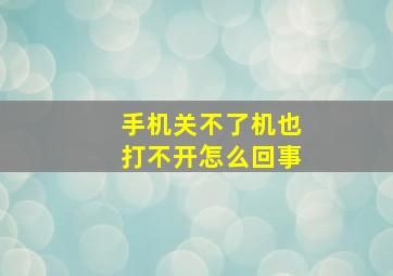 手机关不了机也打不开怎么回事