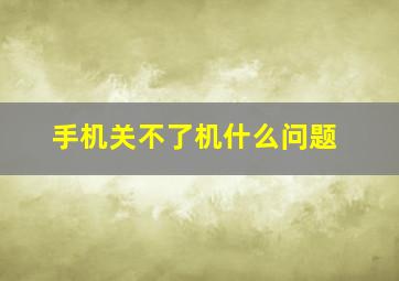 手机关不了机什么问题