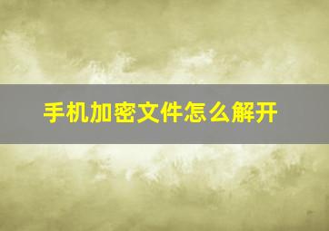 手机加密文件怎么解开