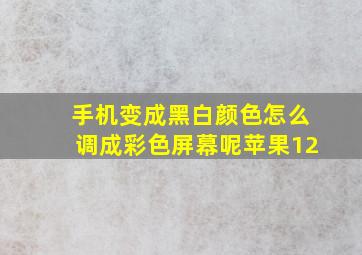 手机变成黑白颜色怎么调成彩色屏幕呢苹果12