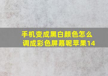 手机变成黑白颜色怎么调成彩色屏幕呢苹果14