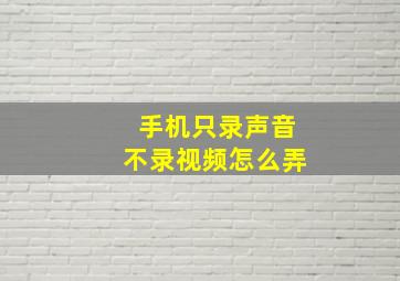 手机只录声音不录视频怎么弄