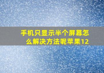 手机只显示半个屏幕怎么解决方法呢苹果12