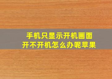 手机只显示开机画面开不开机怎么办呢苹果