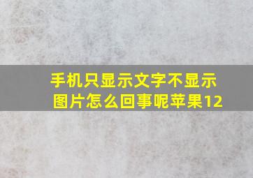 手机只显示文字不显示图片怎么回事呢苹果12