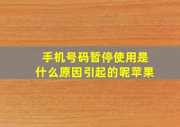 手机号码暂停使用是什么原因引起的呢苹果