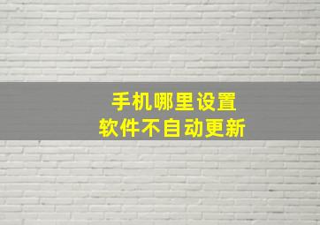 手机哪里设置软件不自动更新