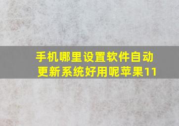 手机哪里设置软件自动更新系统好用呢苹果11