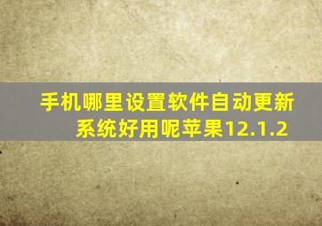 手机哪里设置软件自动更新系统好用呢苹果12.1.2