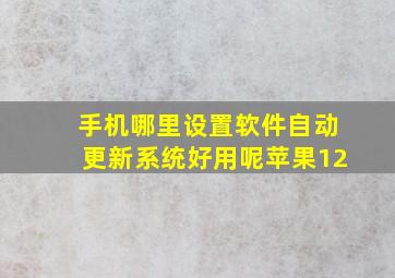 手机哪里设置软件自动更新系统好用呢苹果12