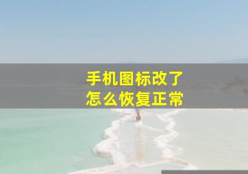 手机图标改了怎么恢复正常