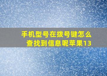 手机型号在拨号键怎么查找到信息呢苹果13