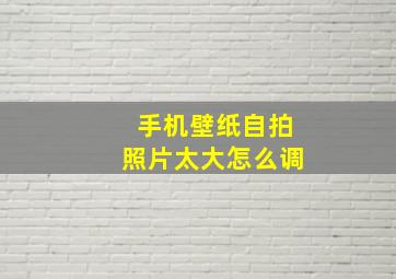 手机壁纸自拍照片太大怎么调