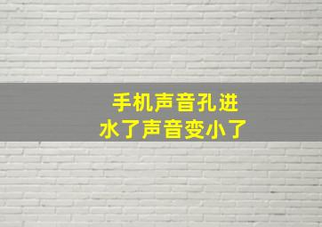 手机声音孔进水了声音变小了