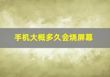 手机大概多久会烧屏幕