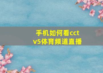 手机如何看cctv5体育频道直播