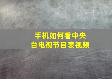 手机如何看中央台电视节目表视频