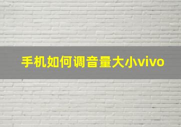 手机如何调音量大小vivo