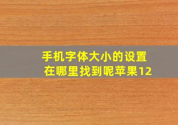 手机字体大小的设置在哪里找到呢苹果12