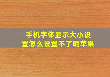 手机字体显示大小设置怎么设置不了呢苹果