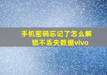 手机密码忘记了怎么解锁不丢失数据vivo