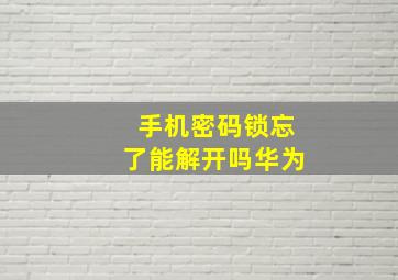 手机密码锁忘了能解开吗华为