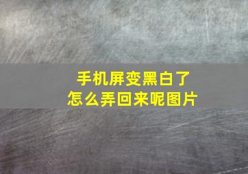 手机屏变黑白了怎么弄回来呢图片