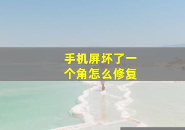 手机屏坏了一个角怎么修复