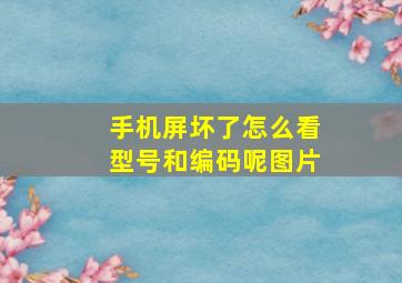 手机屏坏了怎么看型号和编码呢图片