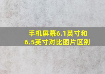 手机屏幕6.1英寸和6.5英寸对比图片区别