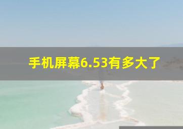 手机屏幕6.53有多大了