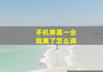 手机屏幕一会就黑了怎么调