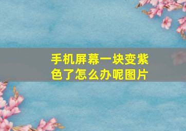 手机屏幕一块变紫色了怎么办呢图片