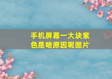 手机屏幕一大块紫色是啥原因呢图片