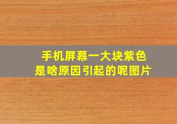 手机屏幕一大块紫色是啥原因引起的呢图片