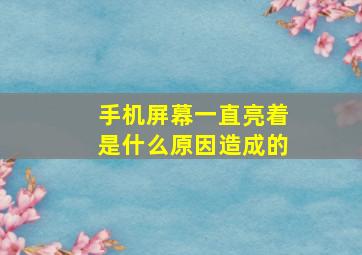 手机屏幕一直亮着是什么原因造成的